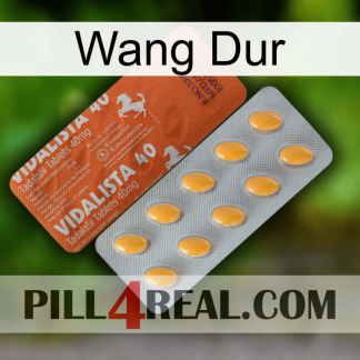 Hard Wang 43